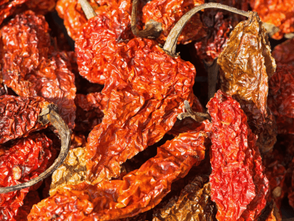 Bhut Jolokia (Ghost Pepper) Red Chilli