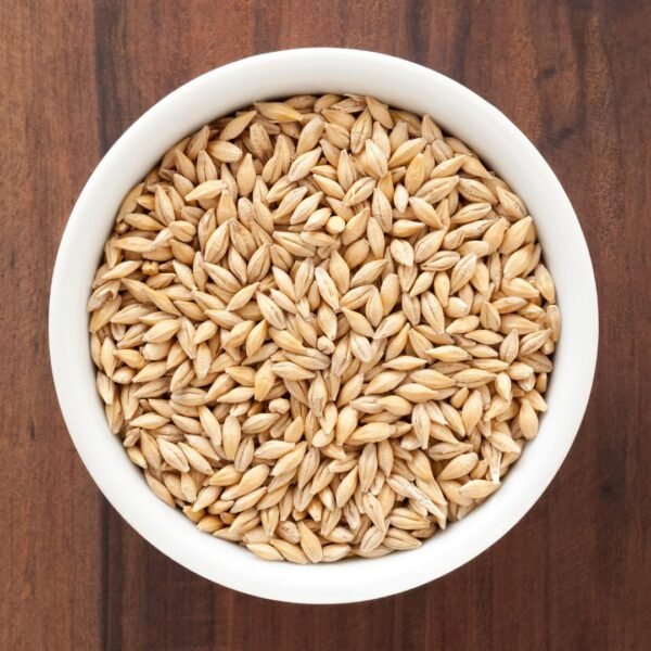 Barley Exporter | Premium Indian Barley Grain by I Kar Exports - Image 3