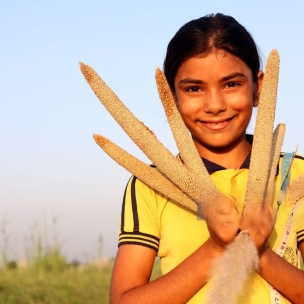 Pearl Millet (Bajra) – The Ancient Grain of Rajasthan - Image 6