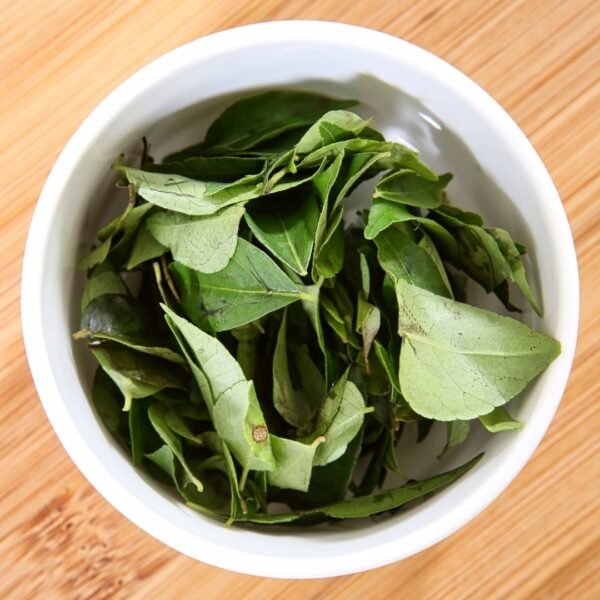 Curry Leaf Exporter | Premium Indian Curry Leaves by I Kar Exports - Image 2