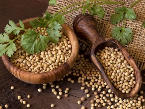 Coriander Seeds