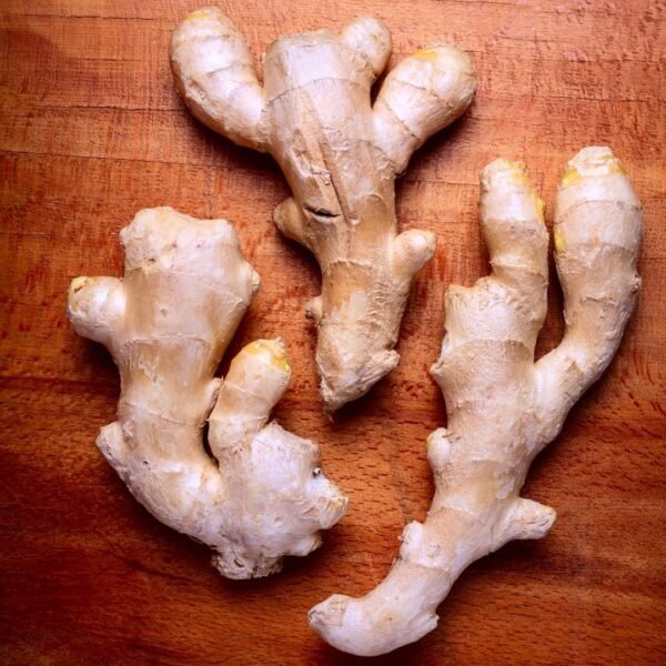 Ginger Exporter | Premium Indian Ginger by I Kar Exports - Image 4