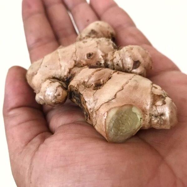Ginger