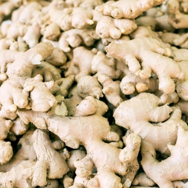 Ginger Exporter | Premium Indian Ginger by I Kar Exports - Image 2