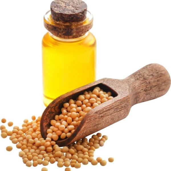 Mustard Seed Exporter | Premium Indian Mustard Seeds by I Kar Exports