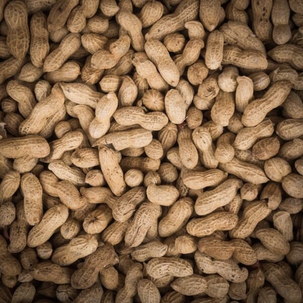 Peanut