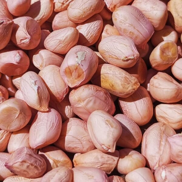 Peanut Exporter | Premium Indian Groundnuts by I Kar Exports - Image 5