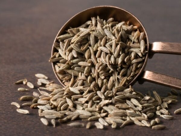 Cumin Exporter | Premium Indian Cumin Seeds by I Kar Exports - Image 3