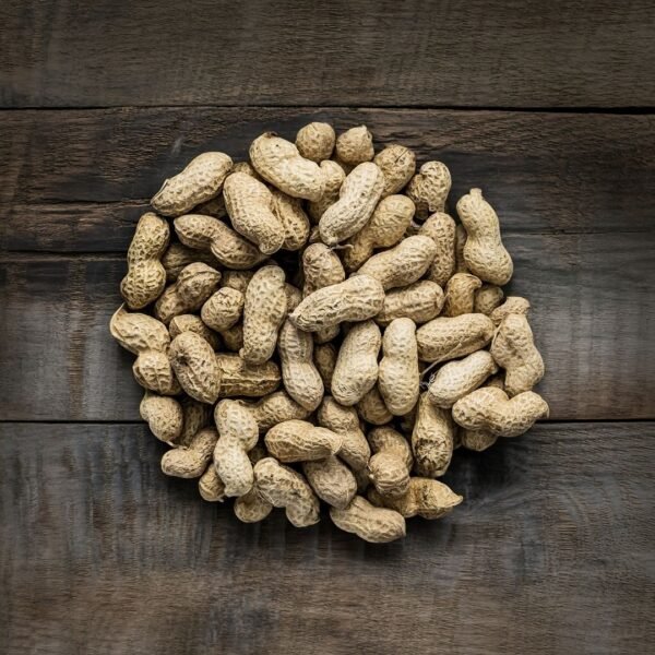 Peanut Exporter | Premium Indian Groundnuts by I Kar Exports - Image 4