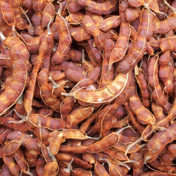 Tamarind Exporter | Premium Indian Tamarind by I Kar Exports - Image 5