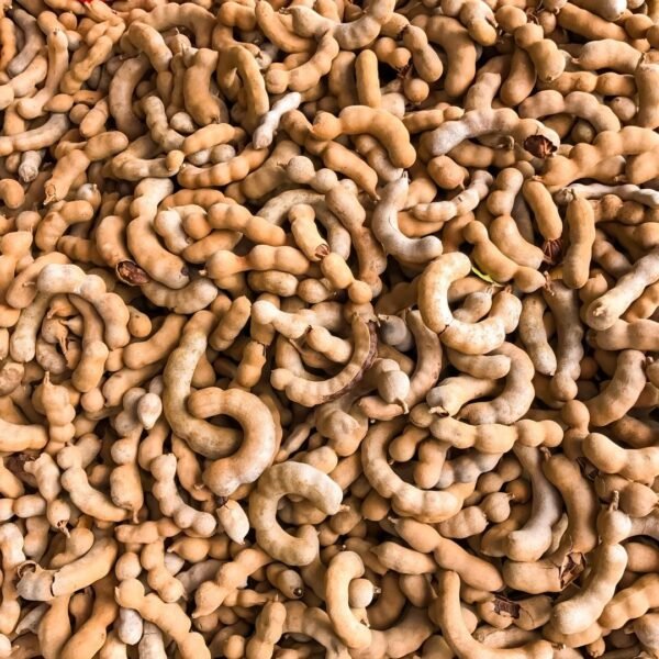 Tamarind Exporter | Premium Indian Tamarind by I Kar Exports - Image 2