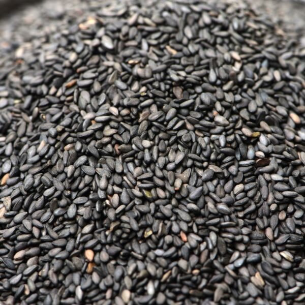 Black Sesame Seeds Exporter | Premium Indian Sesame by I Kar Exports - Image 2