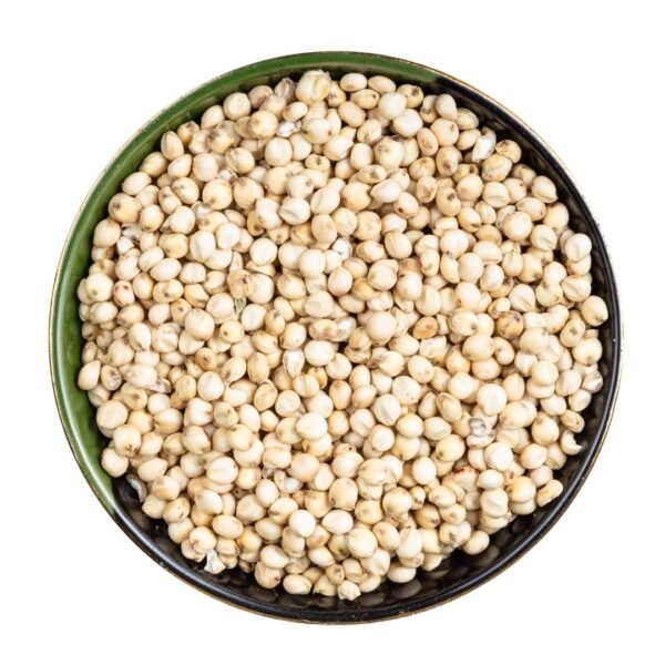 Sorghum Grain Exporter | Premium Indian Milo & Great Millet by I Kar Exports - Image 5