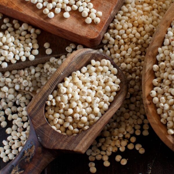 Sorghum Grain Exporter | Premium Indian Milo & Great Millet by I Kar Exports - Image 3
