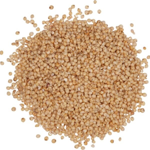 Sorghum Grain Exporter | Premium Indian Milo & Great Millet by I Kar Exports - Image 2