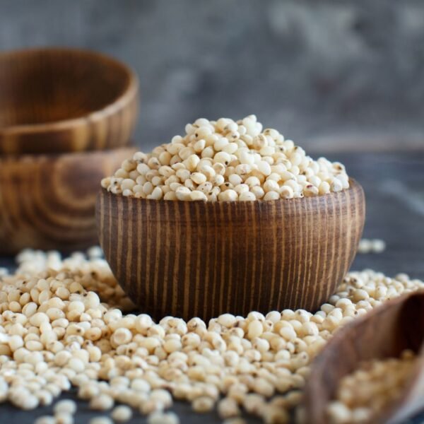 Sorghum Grain Exporter | Premium Indian Milo & Great Millet by I Kar Exports - Image 6