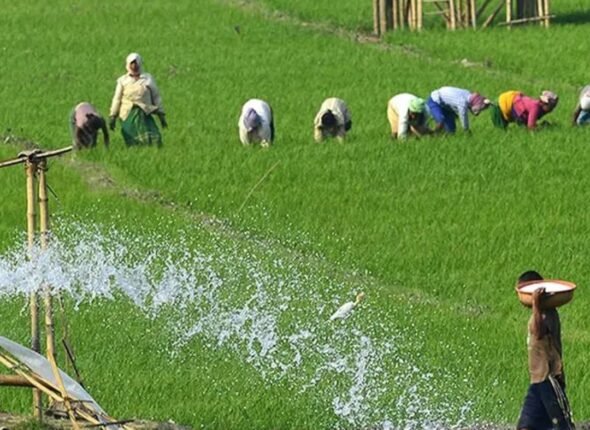 Orange and Mauve Beauty New Product Summer Sale Instagram Post (10)