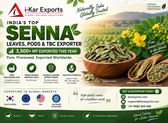 ikarexports.com