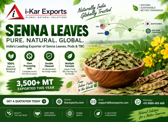 ikarexports.com.