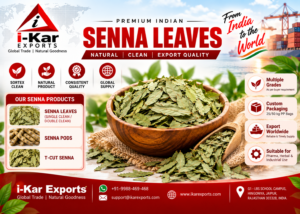 i kar exports seena leaves